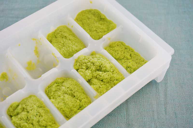A close up horizontal image of a plastic ice cube tray filled with pesto.