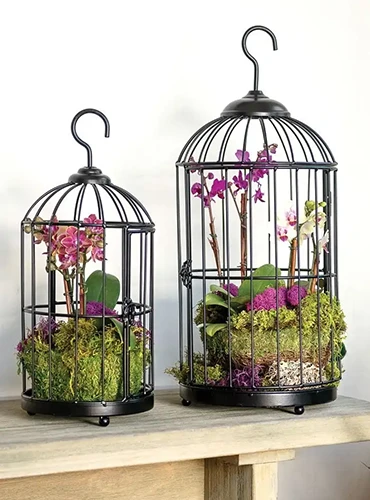 A close up of two birdcage planters set on a wooden surface.