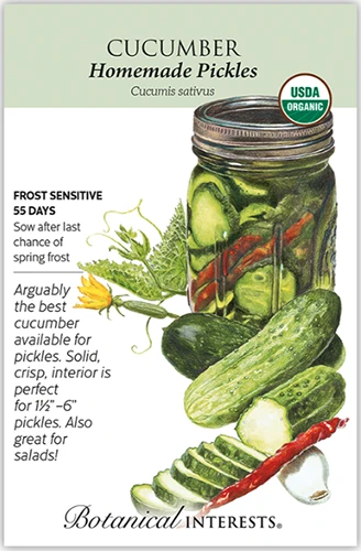 A close up of a packet of 'Homemade Pickles' cucumber seeds, with text to the left of the frame and a hand-drawn illustration to the right.