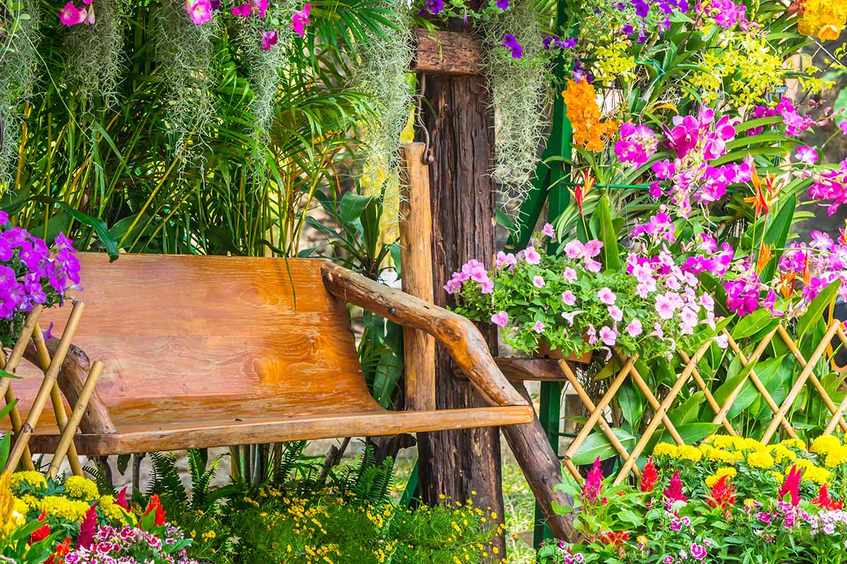 A close up horizontal image of a wooden bench set in the garden amongst flowers and other plants.