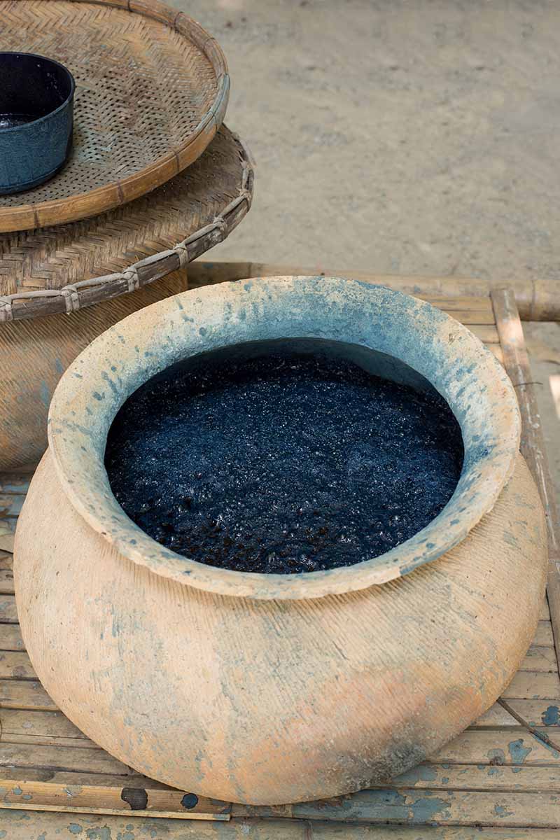 A close up vertical image of a round clay pot filled with fermenting indigo dye set on a wooden surface.