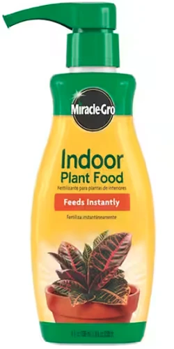 A close up of a bottle of Miracle-Gro indoor plant food isolated on a white background.