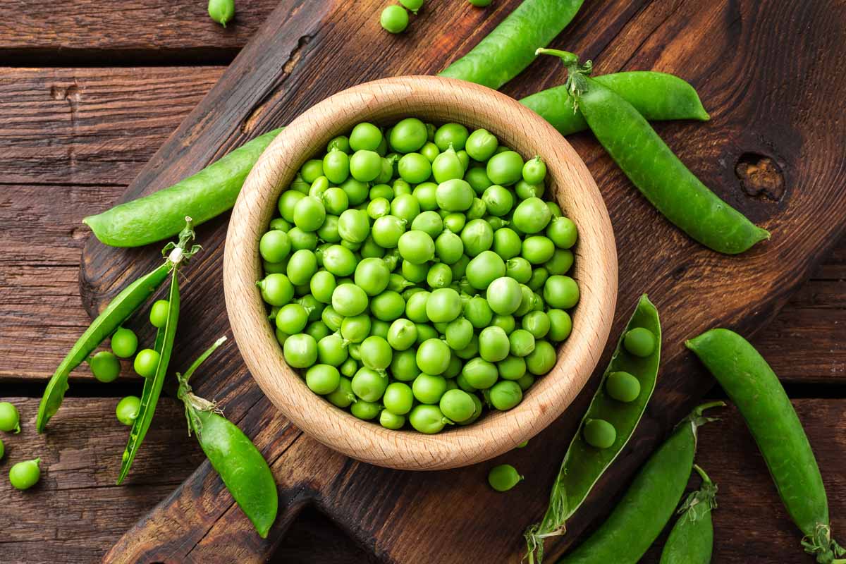 A close up horizontal image of a wooden bowl filled with freshly shelled peas with pods scattered around on a wooden surface.