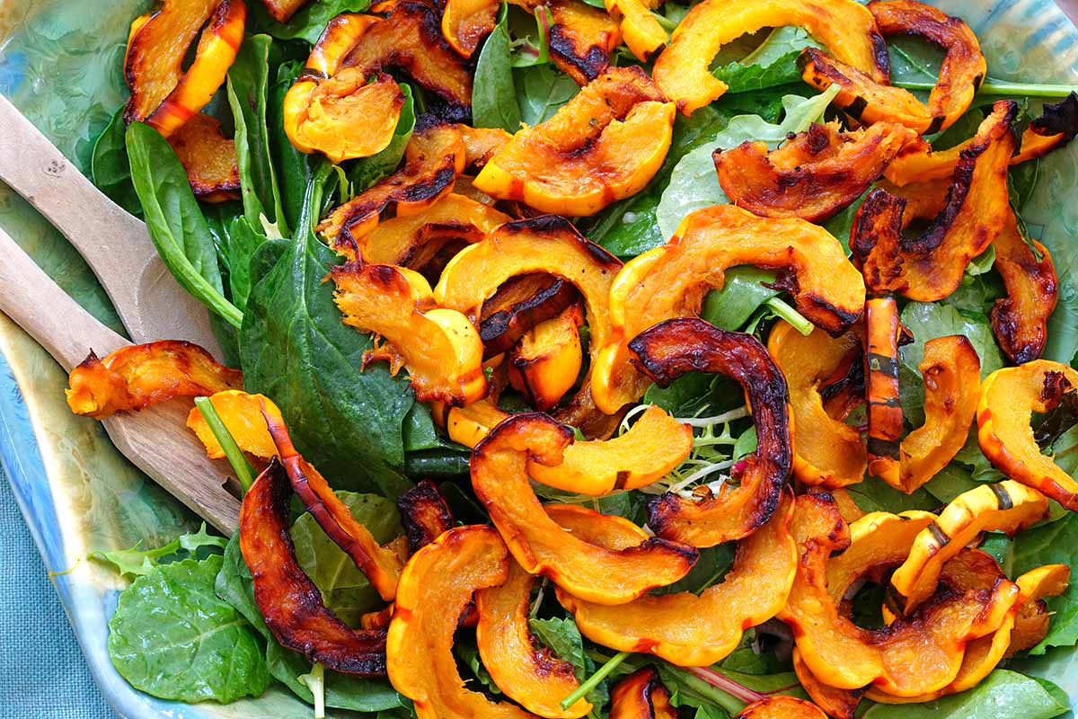 A close up horizontal image of roasted 'Delicata' squash slices on leafy greens.