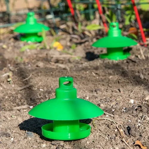 A close up of green plastic snail traps set out in the garden.