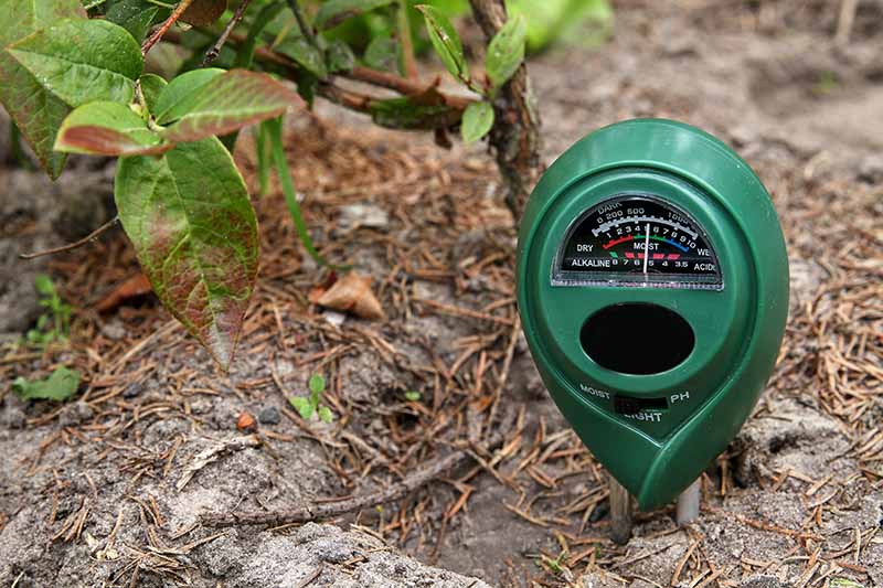A close up of a soil moisture meter and tester set in the ground.
