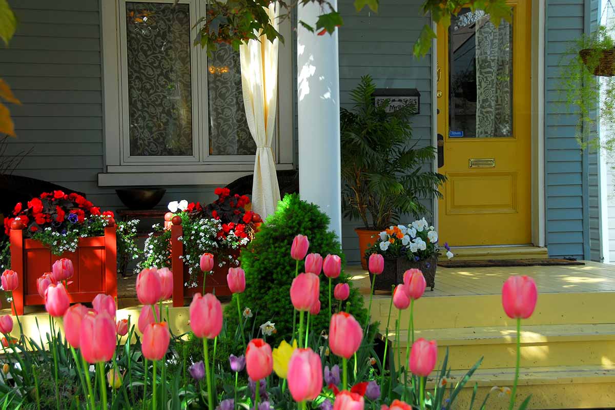 A horizontal image of colorful flowers growing in pots and a garden bed outside a porch.