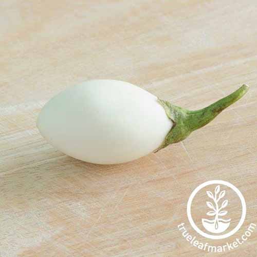 A close up of a single 'White Egg' eggplant set on a wooden surface. To the bottom right of the frame is a white circular logo with text.