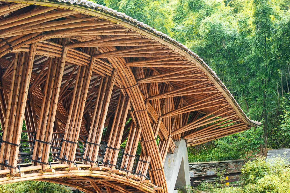 A horizontal image of a large bridge constructed from bamboo.