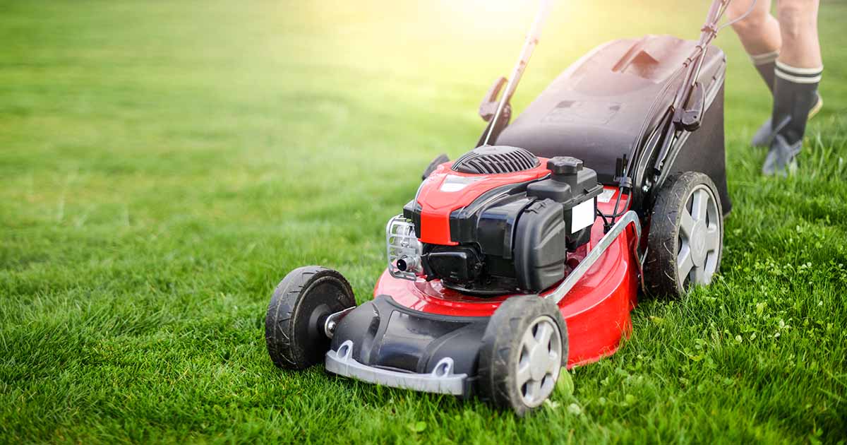 Image of Gas-powered narrow lawn mower