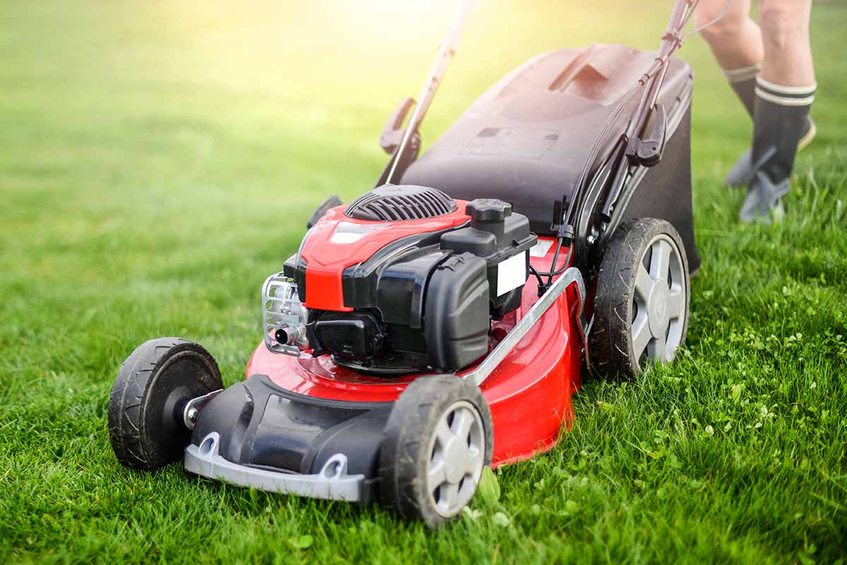 A close up horizontal image of a red and black gas push mower on the grass in light evening sunshine.