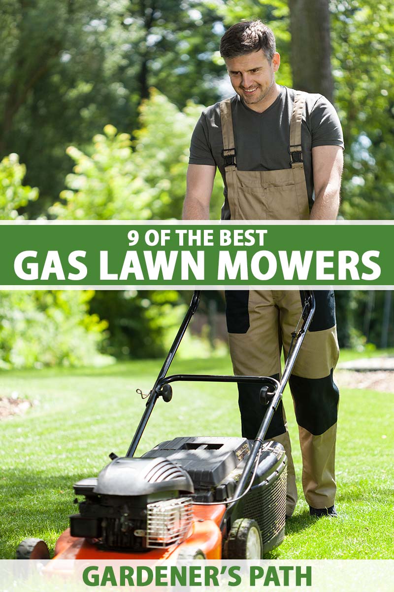 A vertical image of a gardener mowing the lawn with a gas push mower, pictured in light sunshine. To the center and bottom of the frame is green and white printed text.