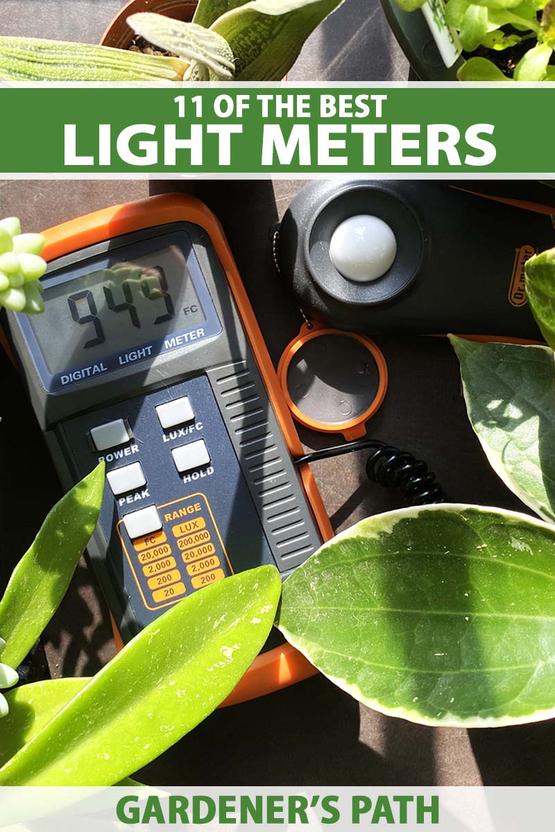 A close up vertical image of a light meter set on a countertop surrounded by houseplants, pictured in bright sunshine. To the top and bottom of the frame is green and white printed text.