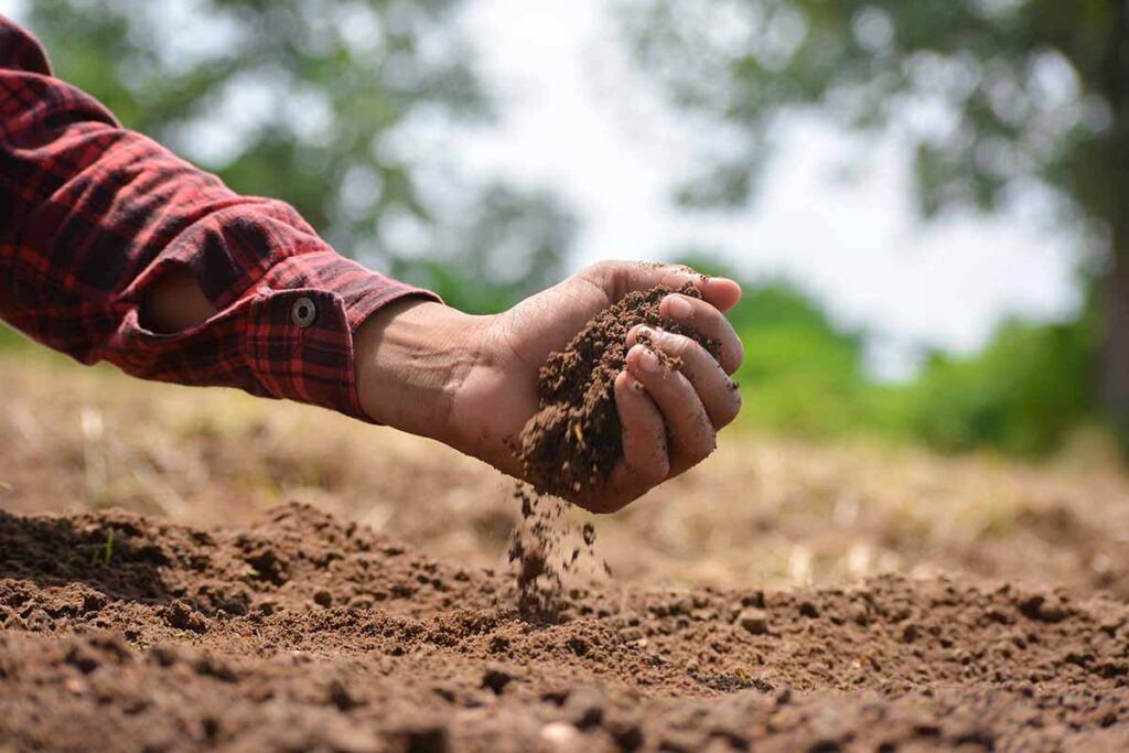 A close up horizontal image of a hand from the left of the frame holding up a handful of soil for testing.
