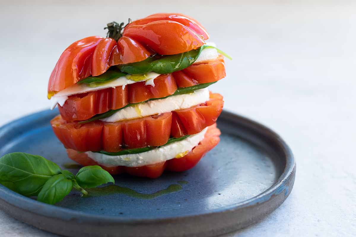 A close up horizontal image of a tomato sliced and stuffed with mozzarella and basil, set on a blue plate.