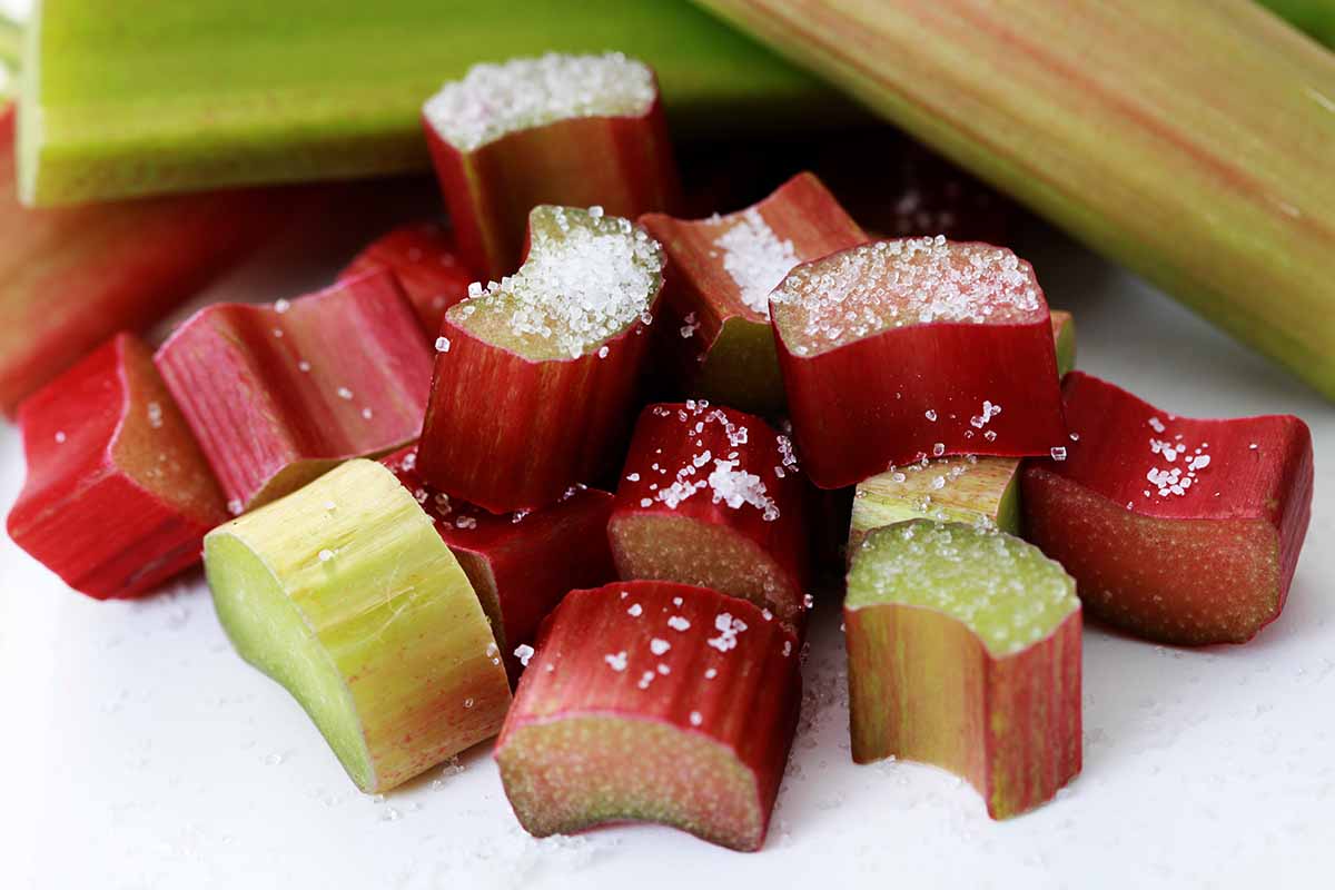 A close up horizontal image of chopped rhubarb stalks with a sprinkling of sugar on top.