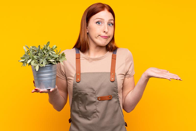 A horizontal image of a gardener holding up a plant pot on an orange background.