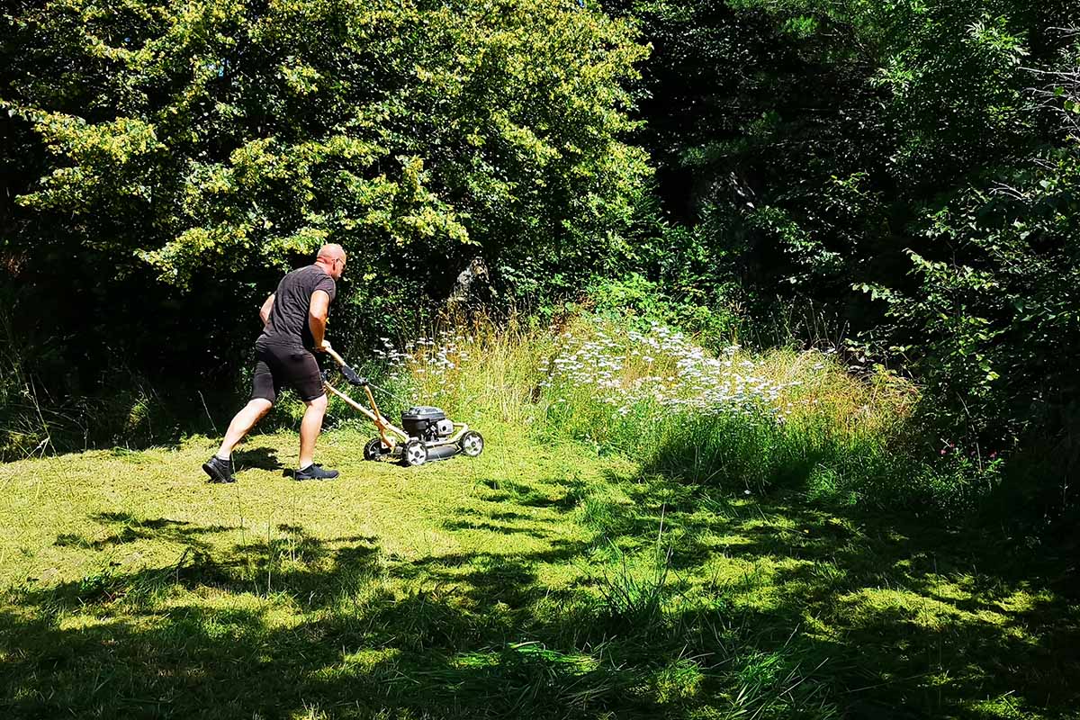 A horizontal image of a gardener using a gas push mower to mow an overgrown, weedy lawn.