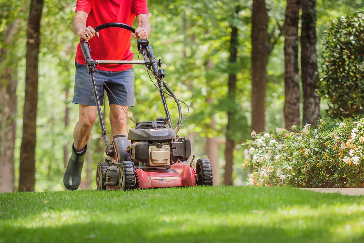 A horizontal image of a gardener mowing the lawn in a wooded area with neat garden beds.