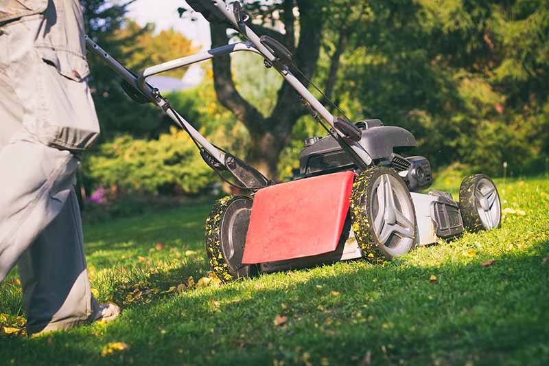 A close up horizontal image of a gardener mowing the lawn with a gas push mower on a sunny day.