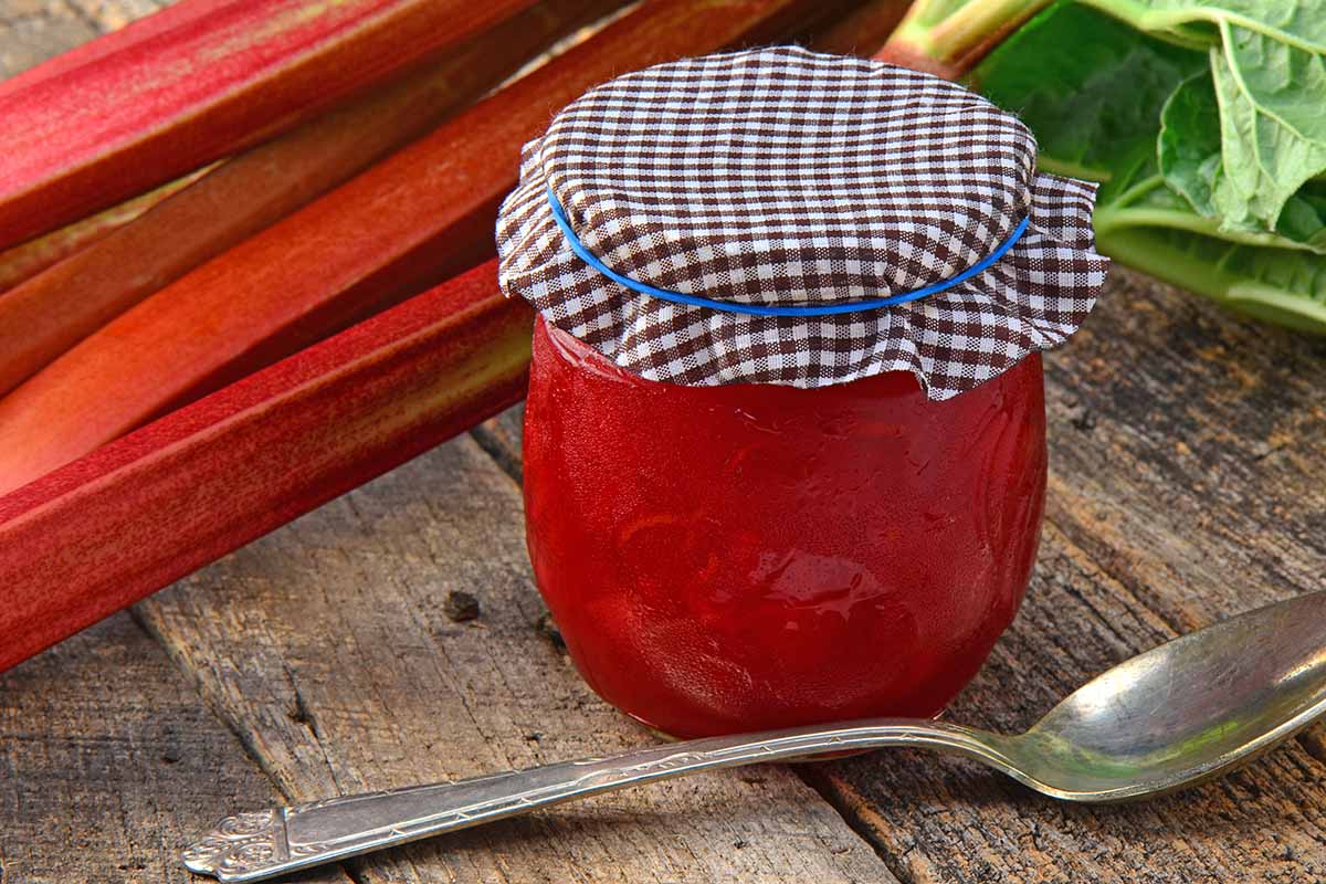 A close up horizontal image of a jar of homemade rhubarb preserve set on a wooden surface with stalks in the background.