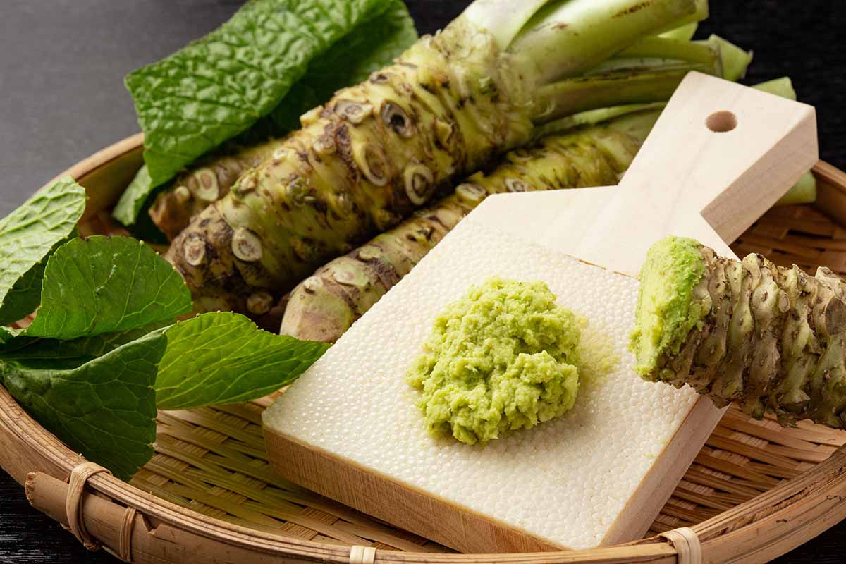 A close up horizontal image of wasabi stems, cleaned and trimmed, set in a wicker basket. To the right of the frame and a stem that has been grated.