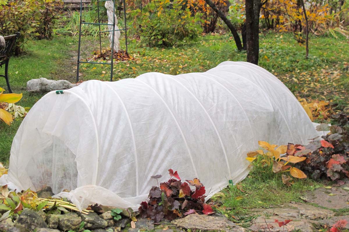 A small hoop house covered in white garden cloth provides frost protection for chilly autumn and spring mornings.