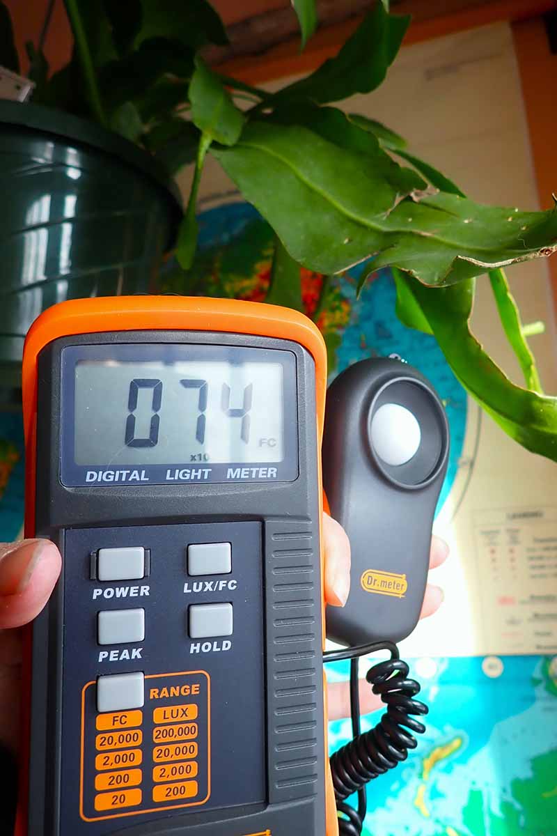 A vertical image of a light meter showing a reading on a sunny day.