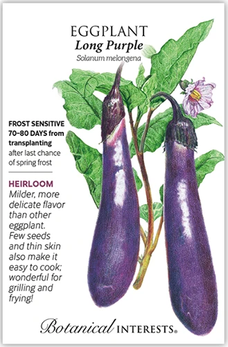 A close up of a packet of 'Long Purple' eggplant seeds with text to the left of the frame and a hand-drawn illustration to the right.