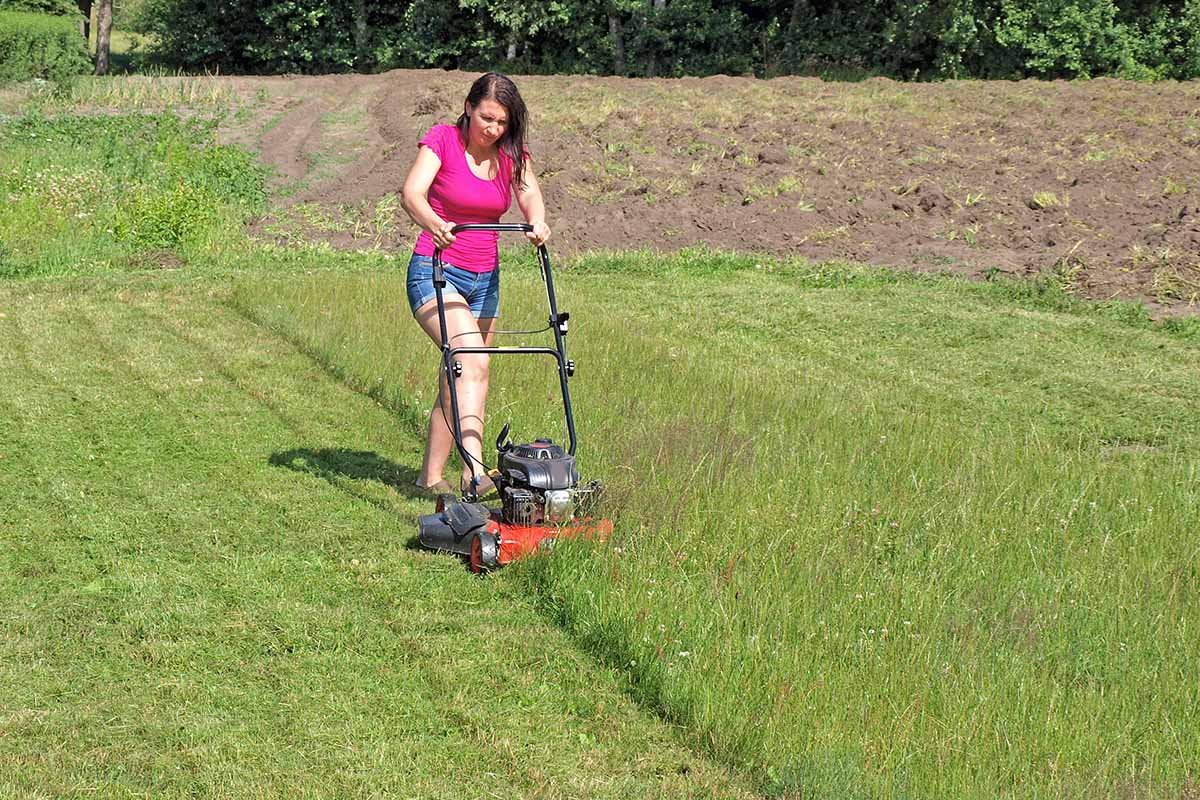 A horizontal image of a gardener mowing long grass in the garden pictured in bright sunshine.