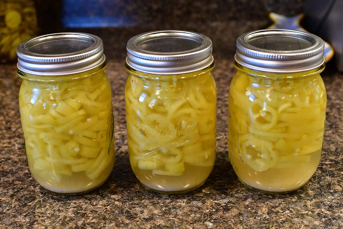 A close up horizontal image of three jars of pickled banana peppers set on a countertop.