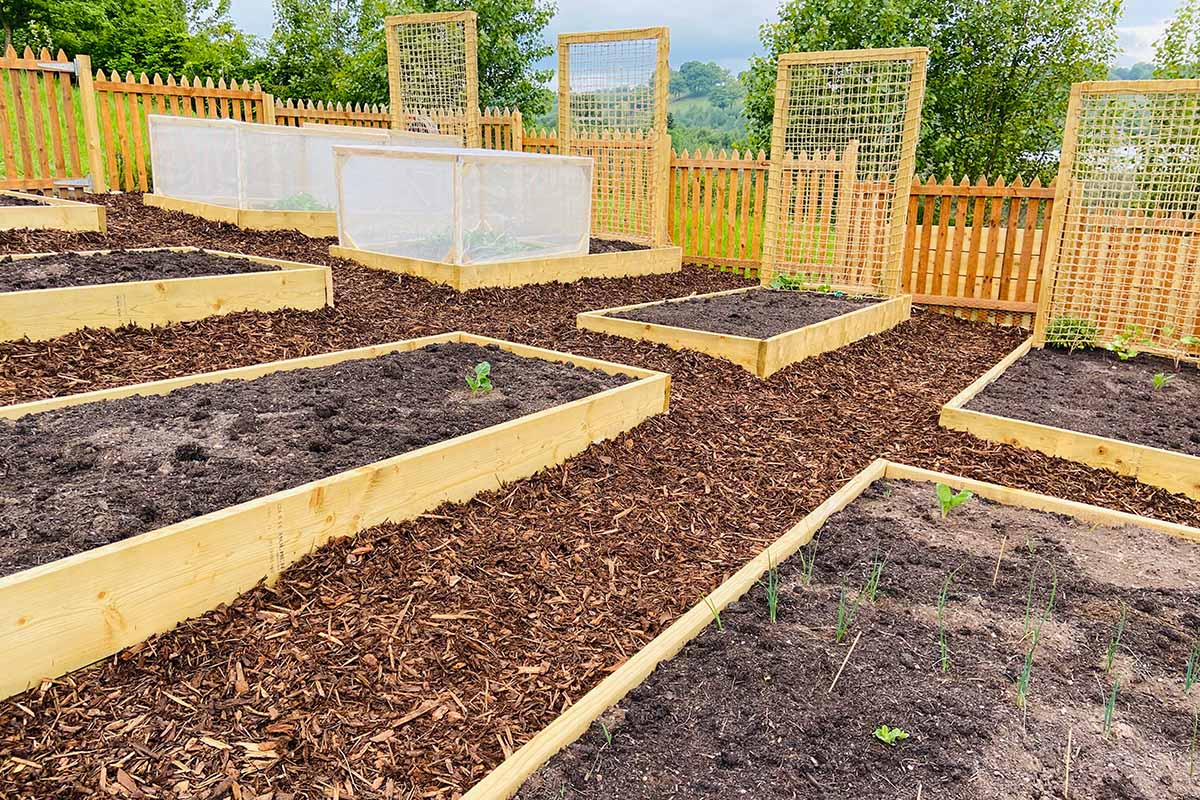 A newly prepared vegetable garden featuring wooden raised planters and trellis.
