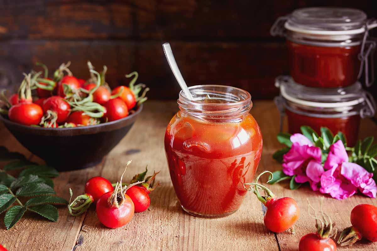 A close up horizontal image of a jar of rose hip jelly with fresh hips scattered on a wooden table.