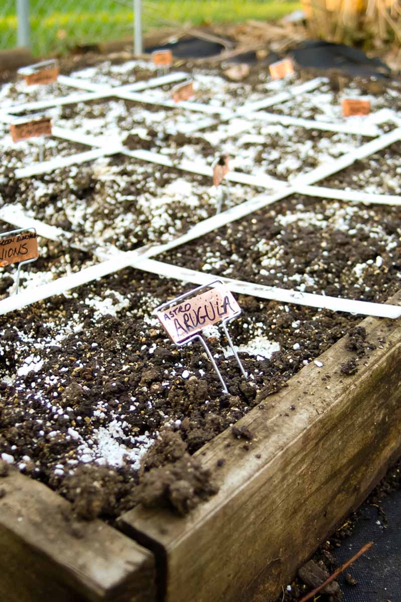 A close up vertical image of a square foot garden with labels for each compartment.