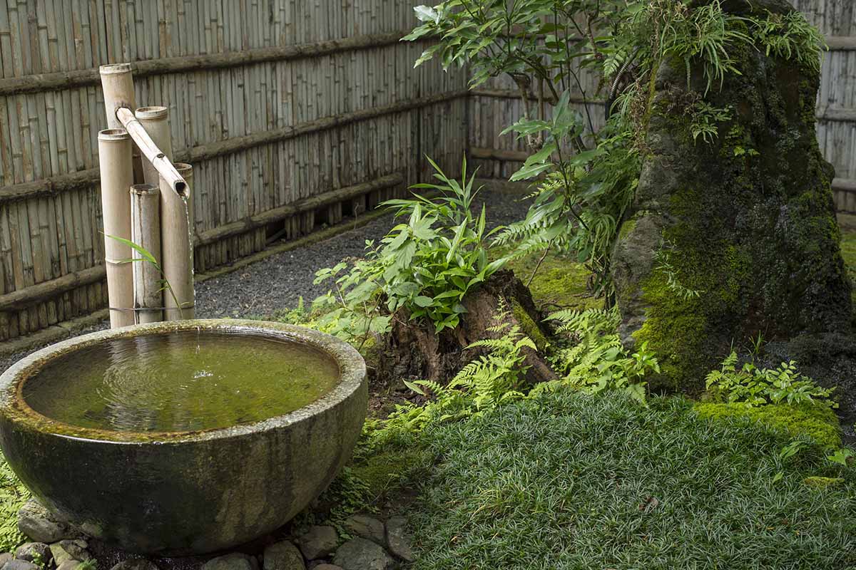 A close up of a Shishi-odoshi water feature with stone basin in the backyard, with a fence in the background.