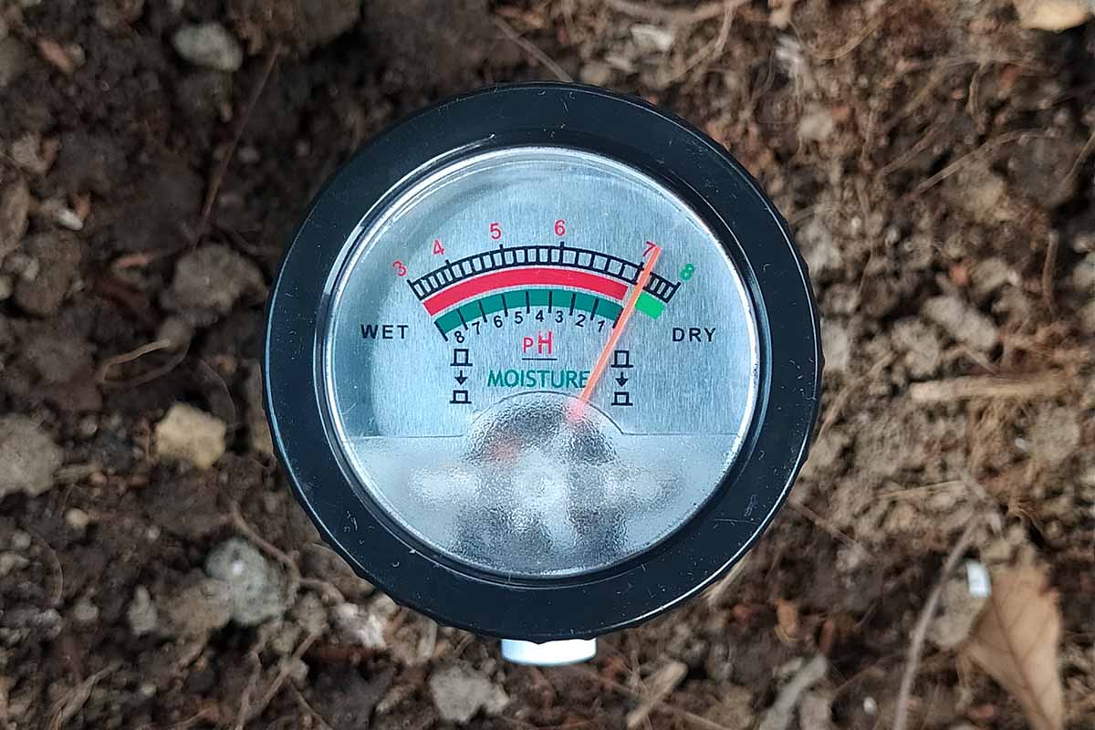 A close up horizontal image of a soil moisture meter stuck in the ground.