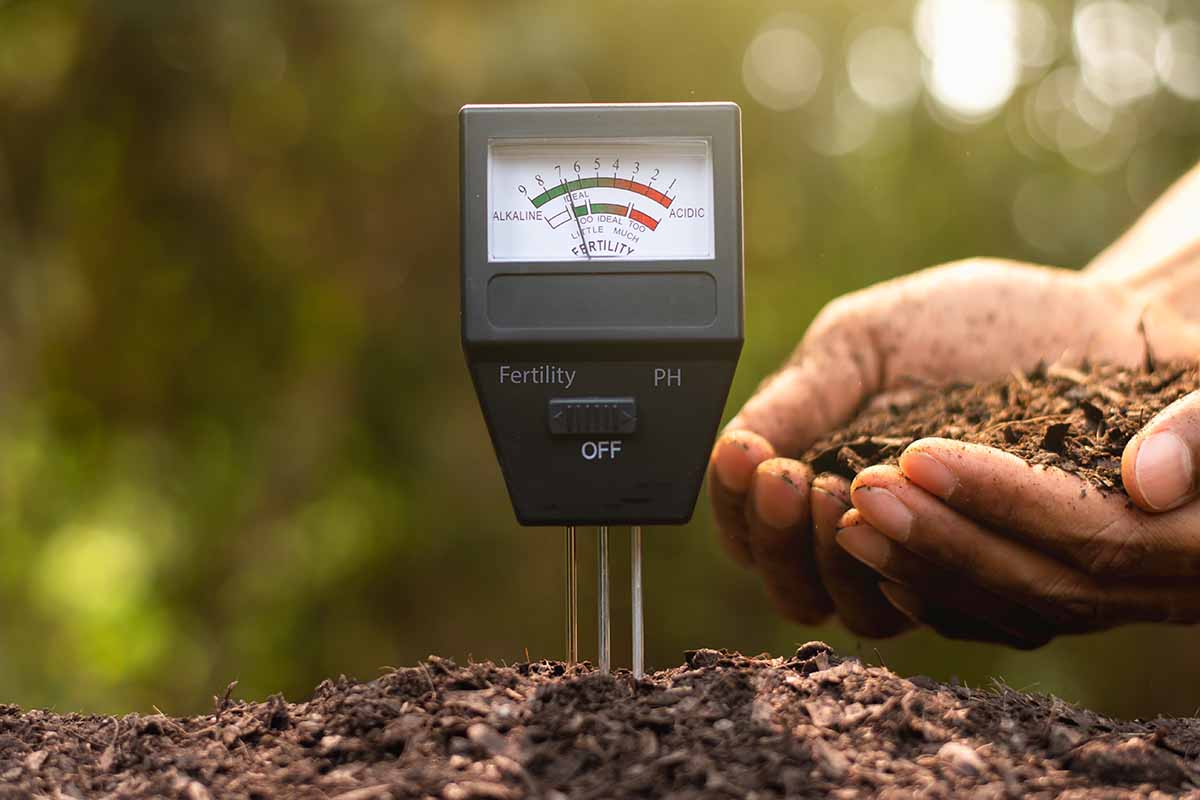 A close up horizontal image of a soil test meter and a hand on the right of the frame holding a handful of loam.
