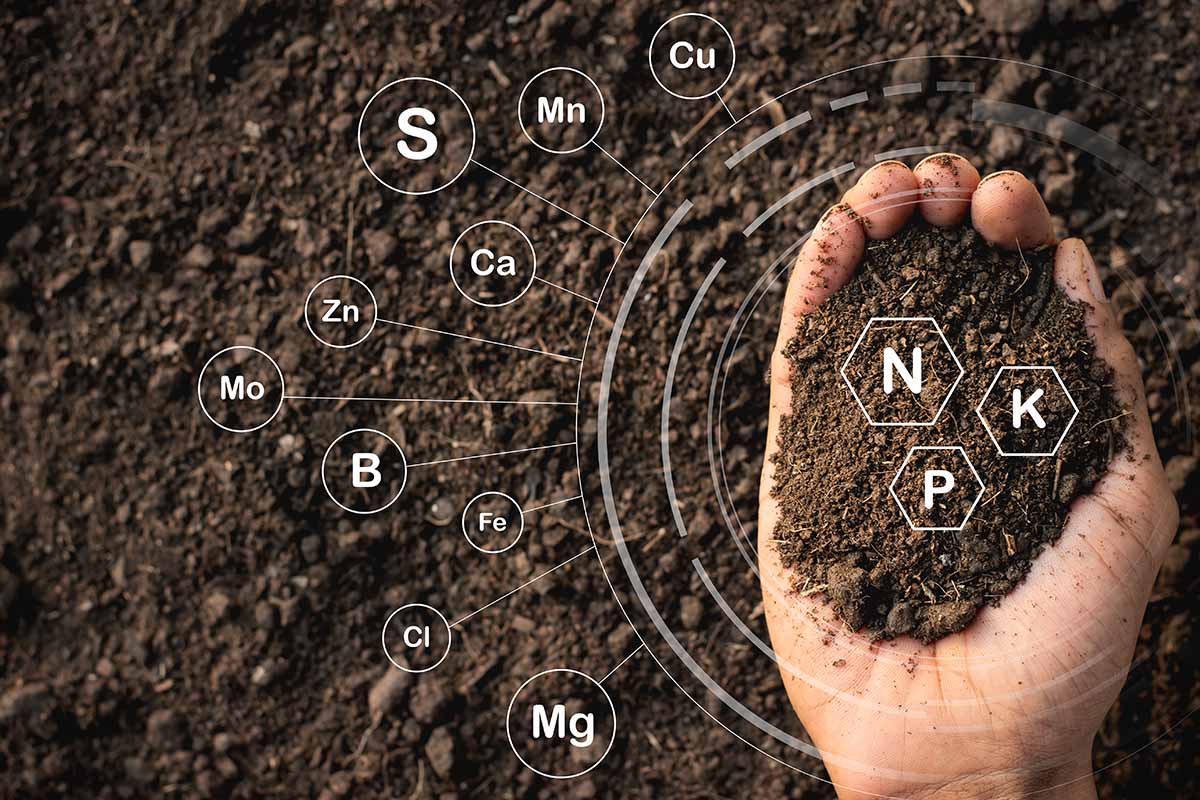 A horizontal image of a hand holding a palm full of soil with the major nutrients expressed as periodic table symbols.