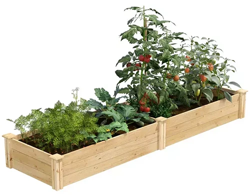 A close up of a two-foot wide cedar raised bed garden isolated on a white background.
