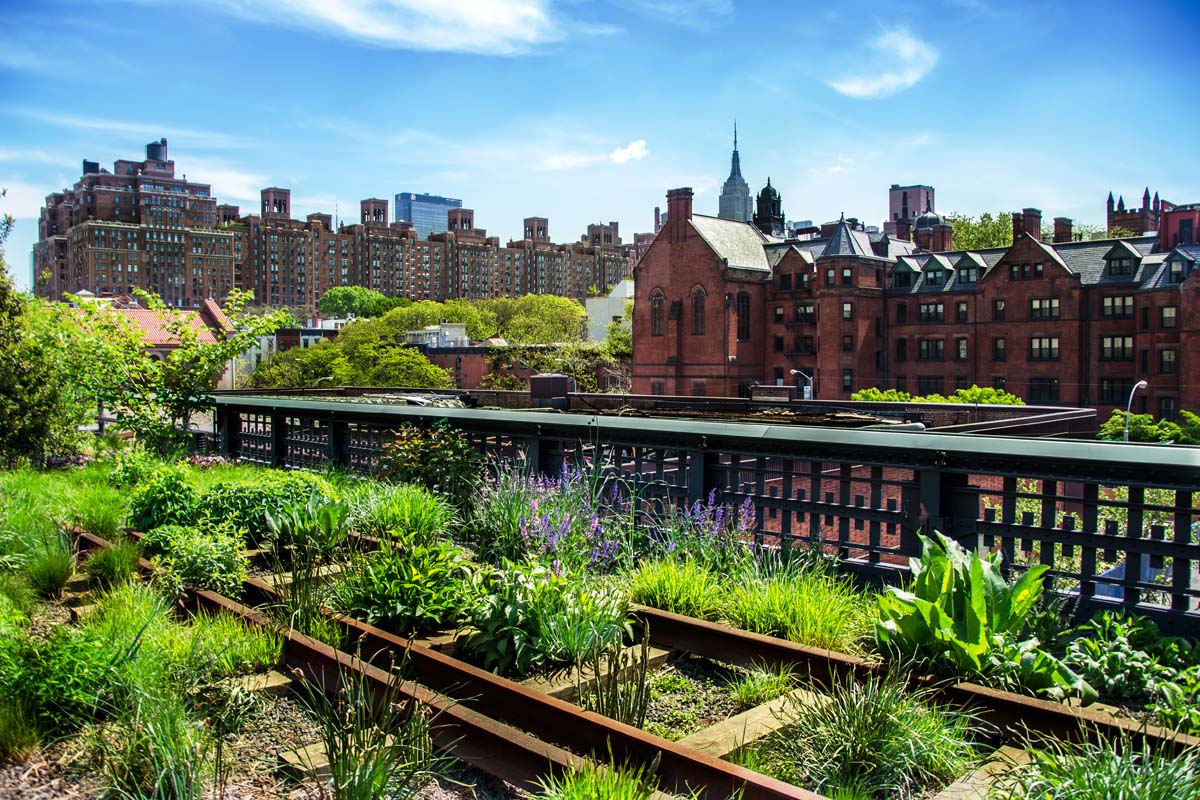 Um exemplo de xeriscape no High Line Park, em Manhattan, mostrando uma antiga ponte de trem convertida em uma área de parque com baixa necessidade de água.  Prédios antigos de tijolo ao fundo.