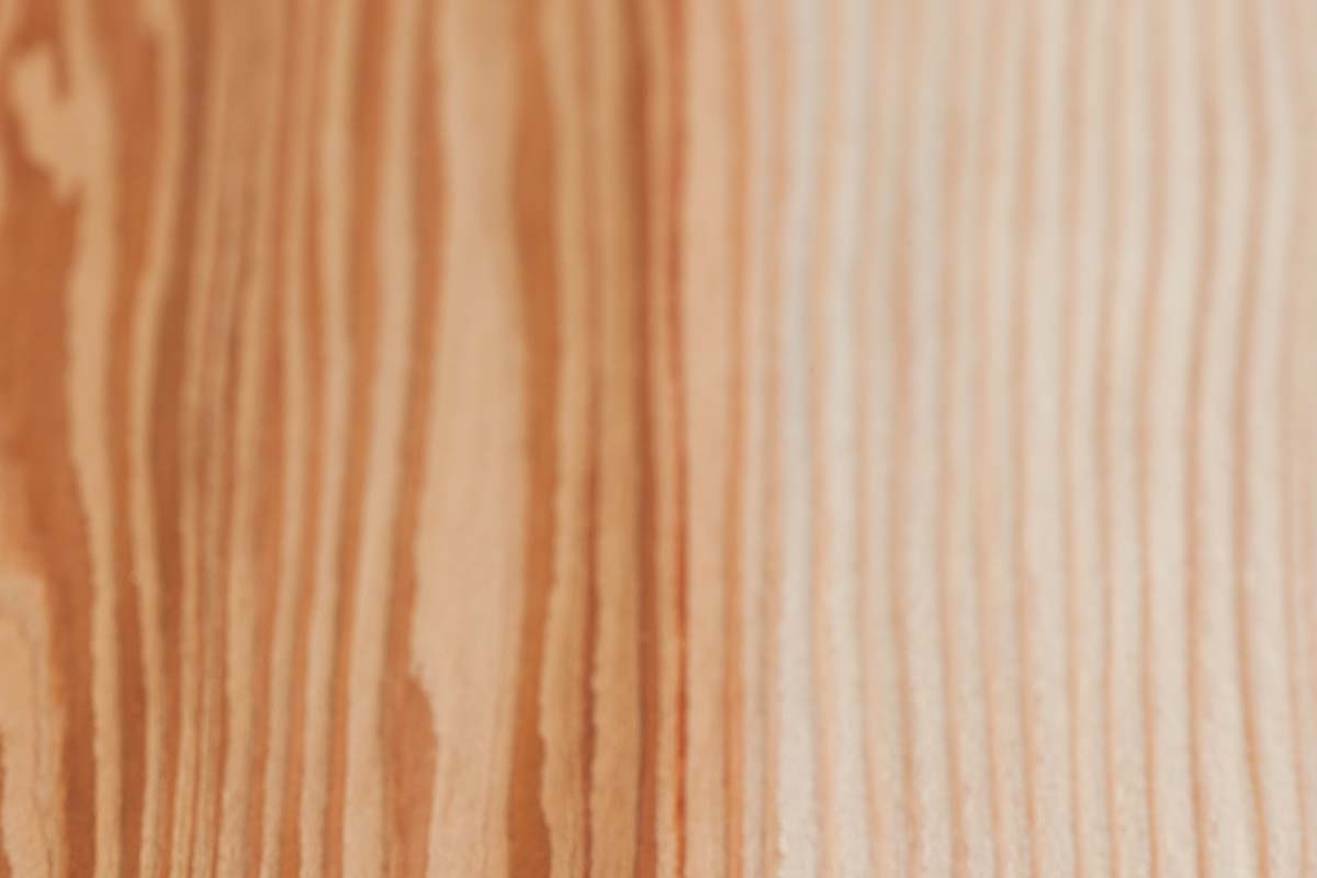 A close up horizontal image of the grain of Japanese zelkova wood.