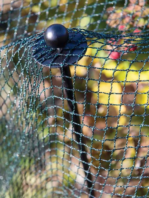 A close image of protective bird netting