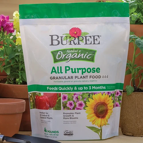 A square image of a bag of Burpee All Purpose Granular Plant Food set amongst terra cotta pots.
