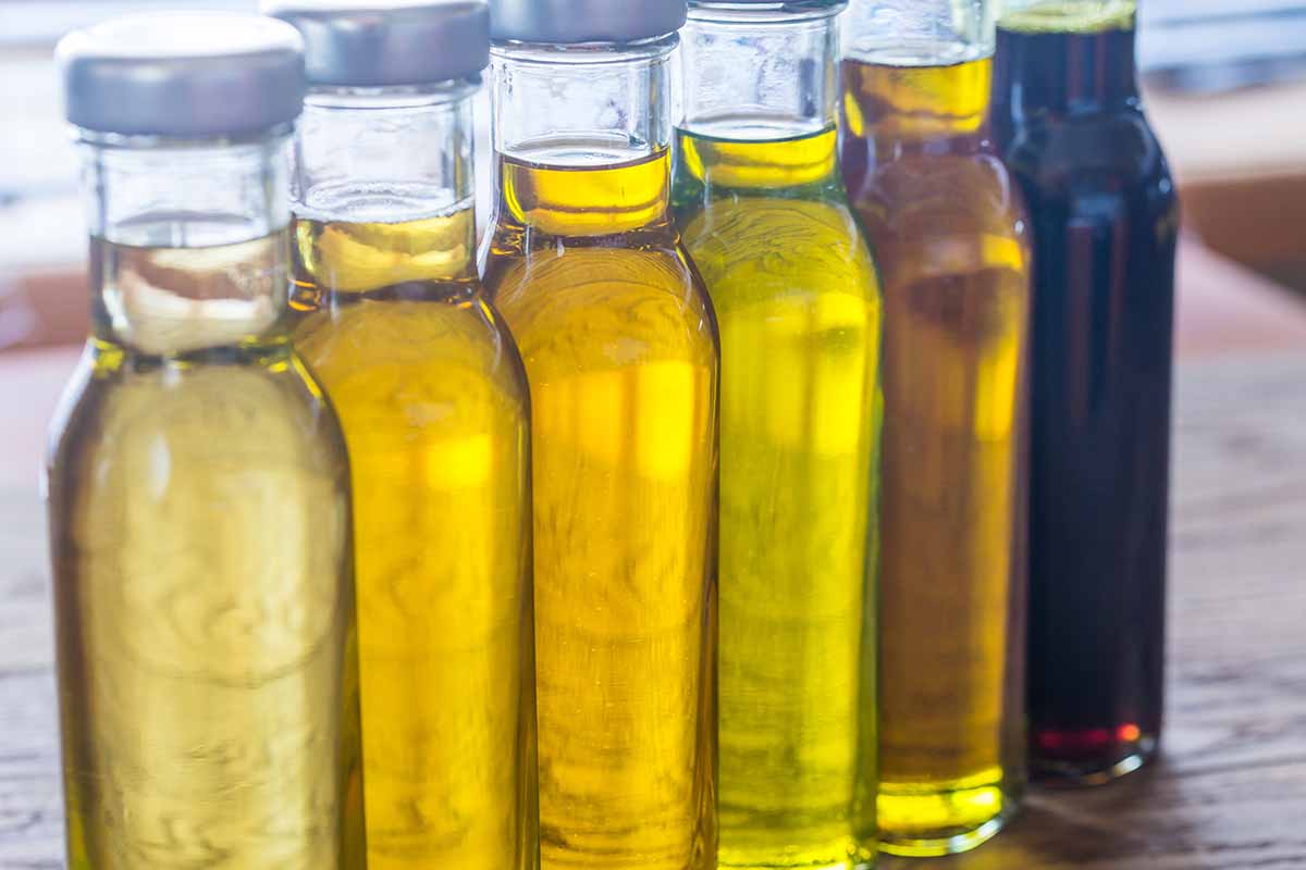 A horizontal image of various shades of carrier oils in tall glass jars, standing upright in a line on a sunlit wooden surface indoors.