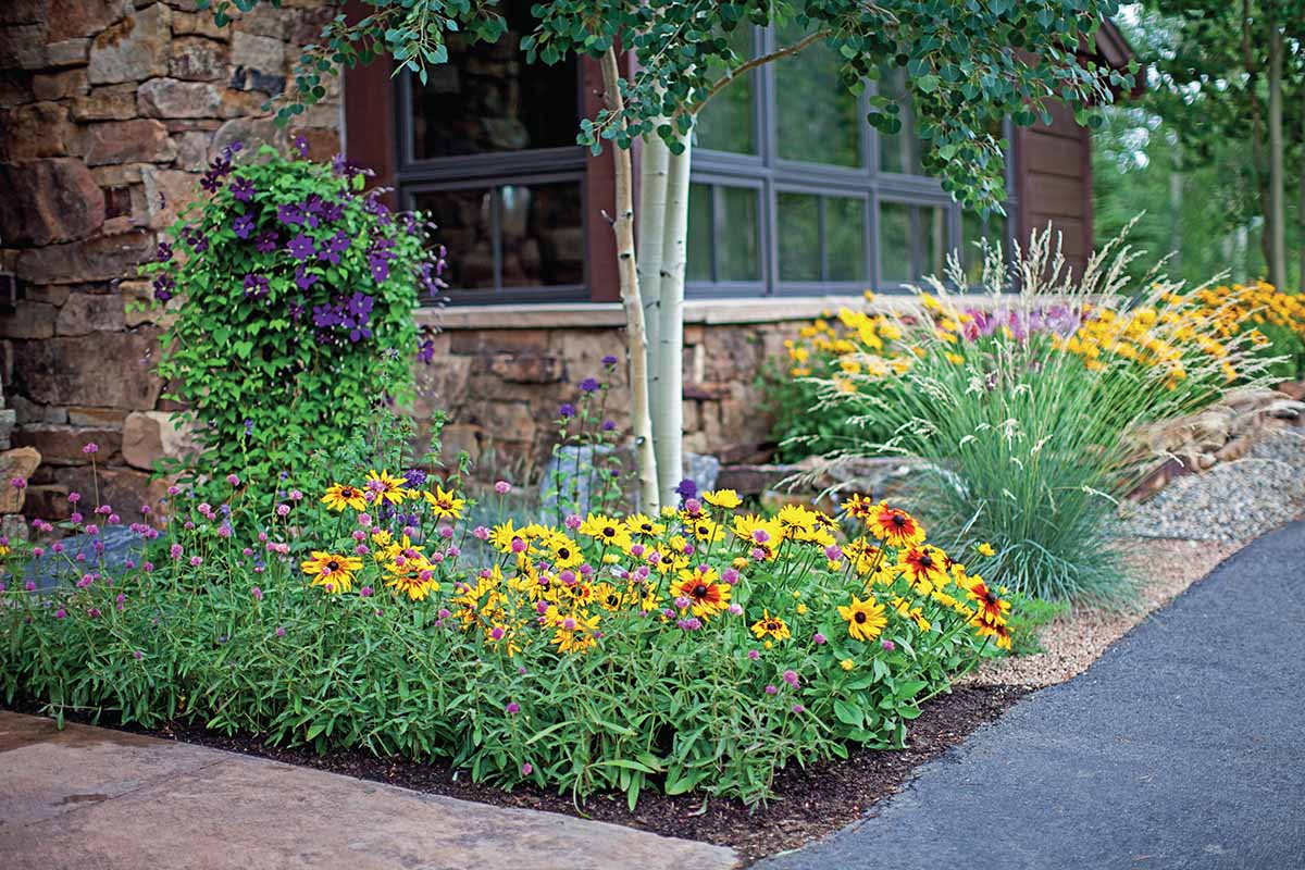 A horizontal image of a colorful garden border outside a residence.
