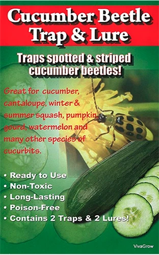 A close up of the packaging of a trap and lure for catching cucumber beetles.