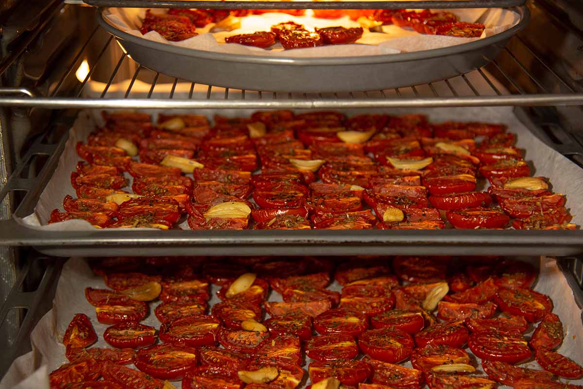 A close up horizontal image of trays of tomatoes and garlic in the oven to dehydrate.