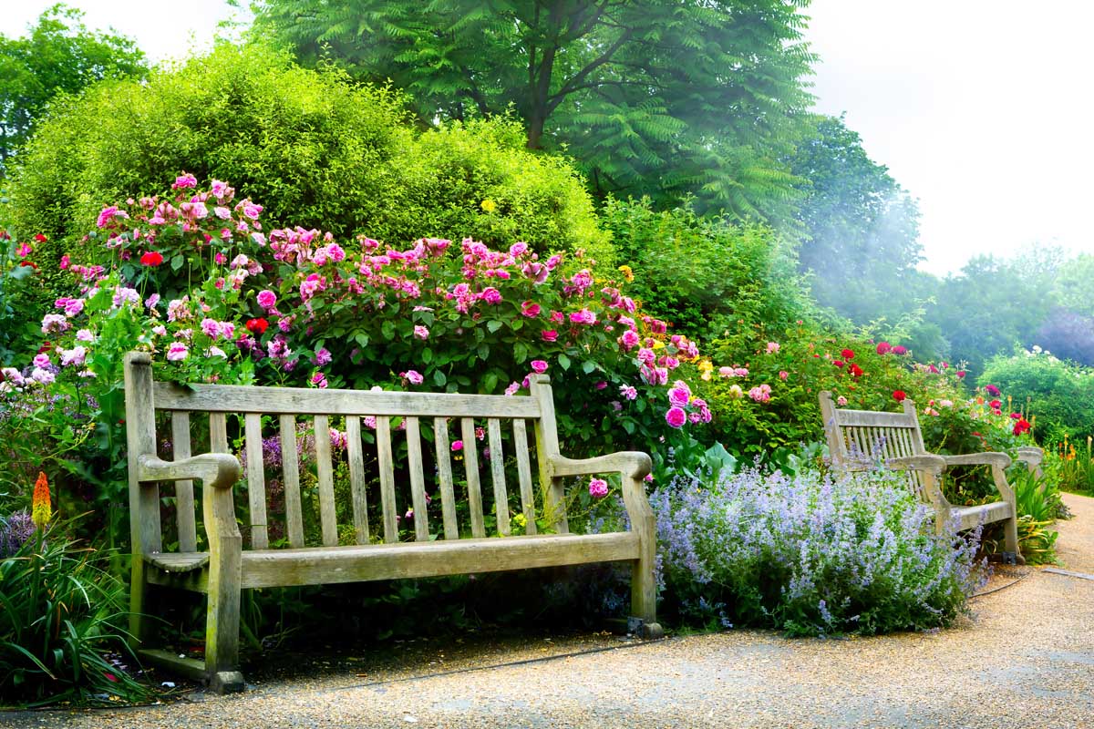 Two wooden benches in an idyllic flower garden setting.