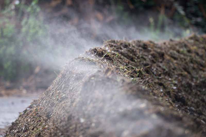 A horizontal image of a compost heap with steam coming out of it on a cold morning.