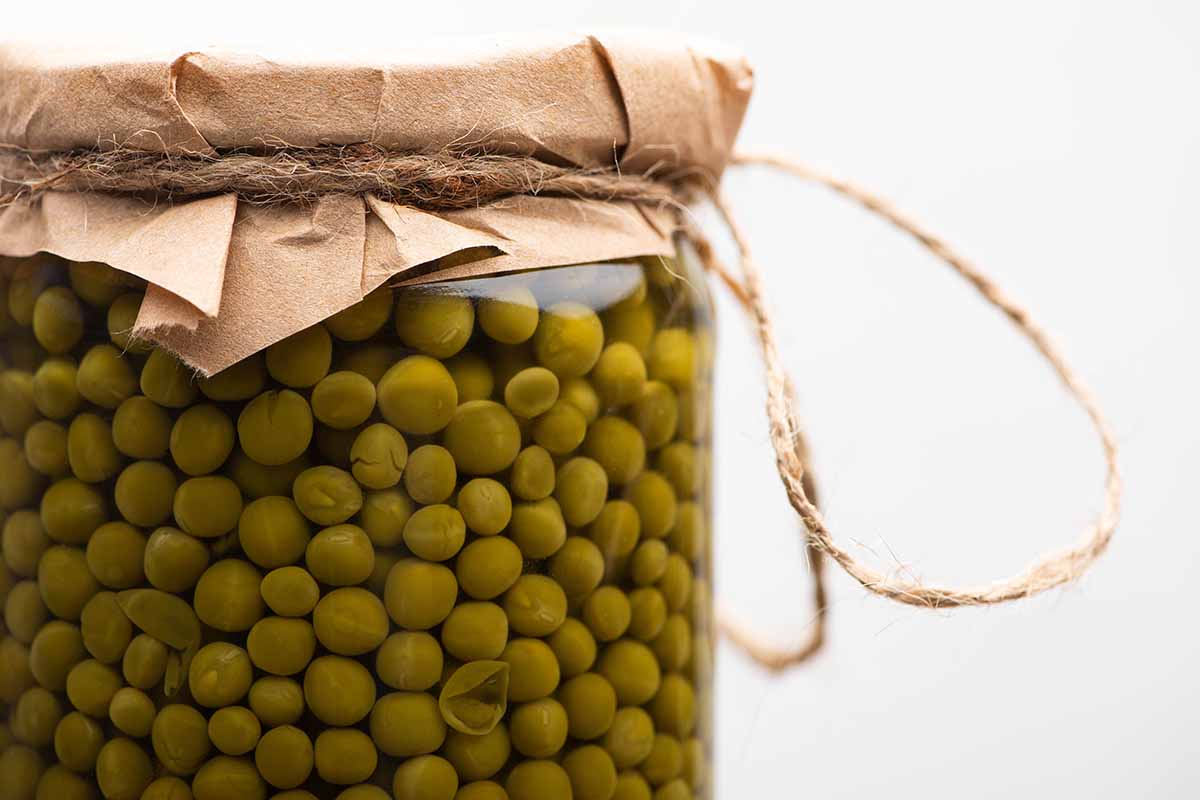 A close up horizontal image of a jar of canned, preserved peas.